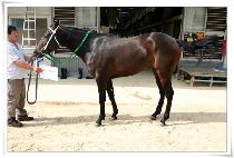 �йи���Ƽ (FAMILY PARTY) ����