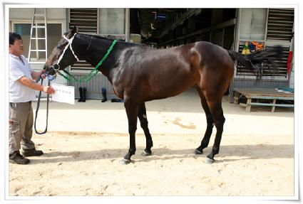 �йи���Ƽ ����