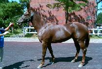 õ�ݻ� (CHEONGEUMSA) ����