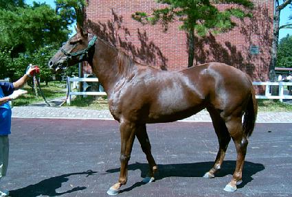 õ�ݻ� ����