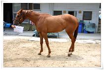 �ູ�� (HAENGBOKSEON) ����