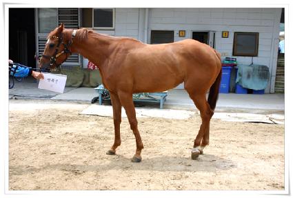 �ູ�� ����