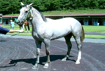 õ�η� ����