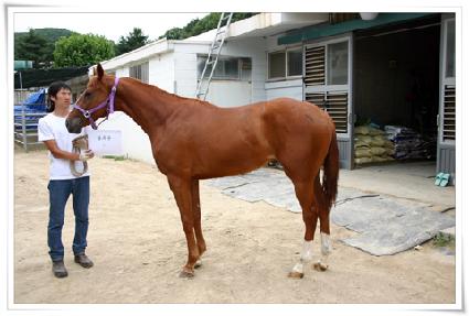 ���繮 ����