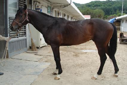 ������̾�Ʈ ����