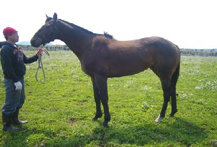 ���ȿ�� ����