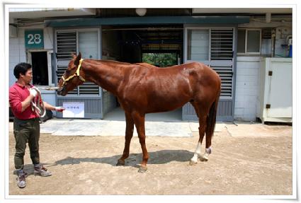 �»�ϵ� ����