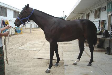 �����Ѹ� ����