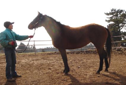 ��Ȳ ����