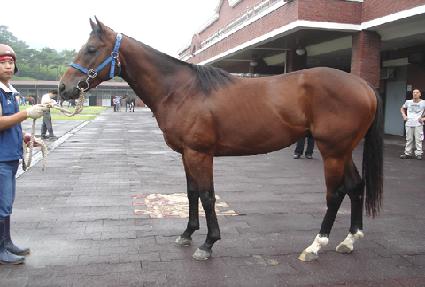 ��ž ����