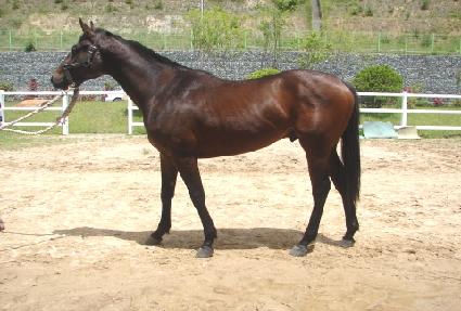 �޸��� ����