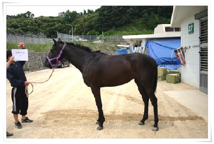 �����Ž� ����