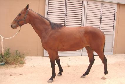 ��õ�� ����