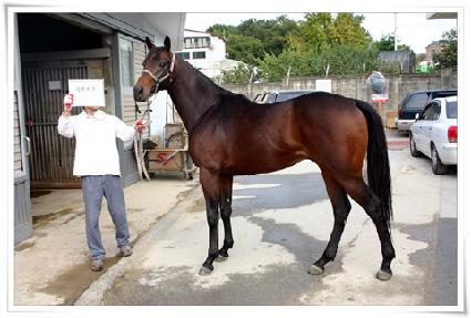 �������� ����