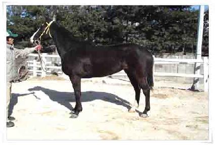 ������������ ����