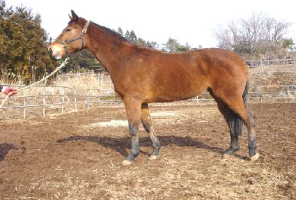 ȯ���ǹ��� ����