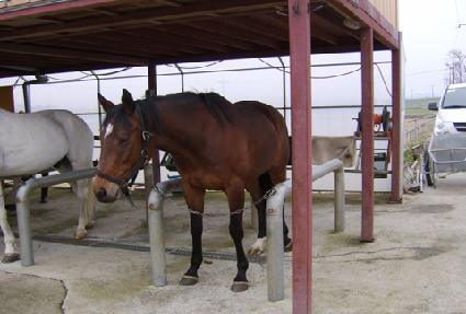 Ʈ��������� ����