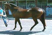 �����Ͽ��� (SMILE ANGEL) ����