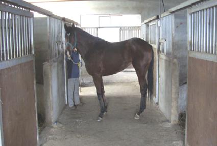 ���Ư�� ����