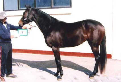 �������Ͻ� ����