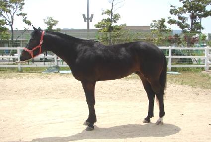 ����ű ����