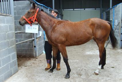 ����� ����