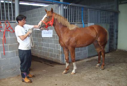 �巡�ﷹ�̵� ����