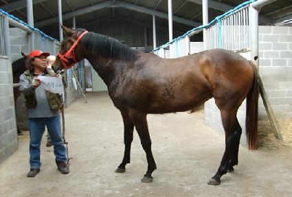 �Ƕ���Ƽ ����