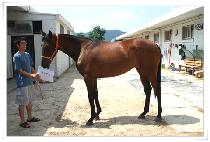 ������� (USEUNG CHANGA) ����