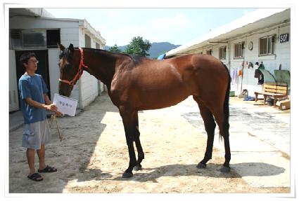 ������� ����