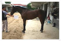 �Ű�� (SINGYESA) ����