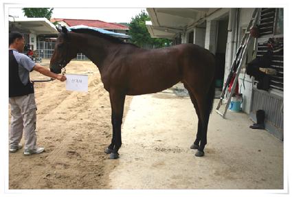 �Ű�� ����