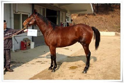 Ȳ����� ����