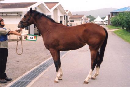 ���Ŭ���� ����