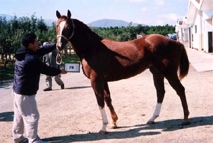 ��ǳó�� ����