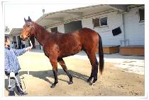 ��ǹ븮 (UNAK VALLEY) ����