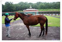 �۷θ� (GLORY) ����