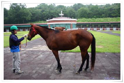 �۷θ� ����