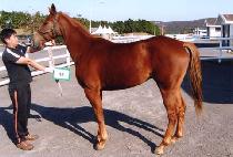 ��°��� (USEUNG GAMDONG) ����