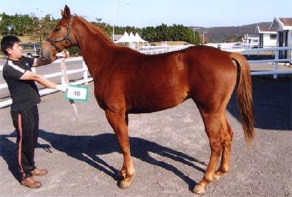 ��°��� ����