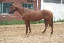 �������� (DAEJI JEWANG) ����