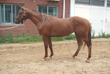 �������� ����