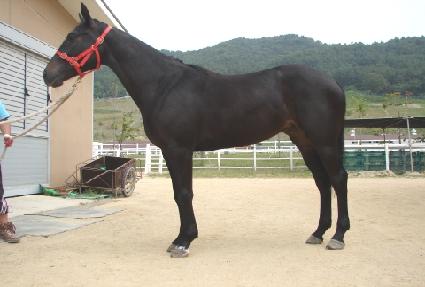 ������ε� ����