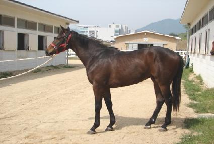 �������� ����