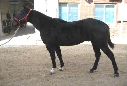 ����Ʈŷ ����