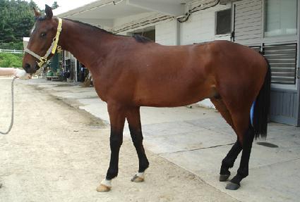 ������ ����