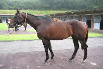 ��� (JAESANG) ����