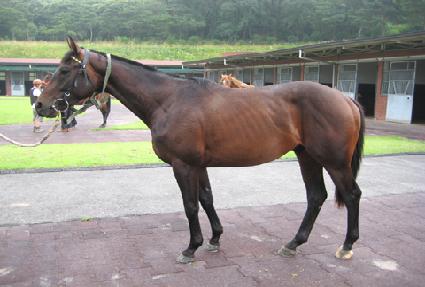 ��� ����