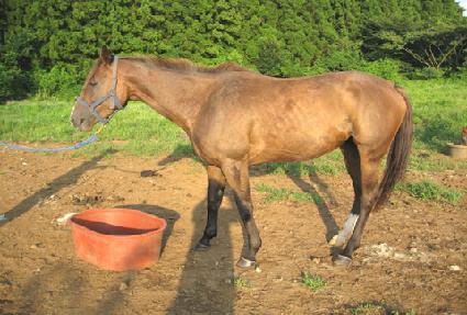 �׷������� ����