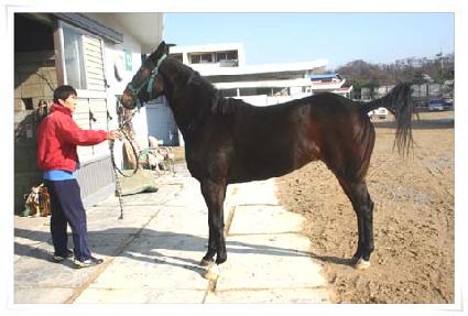 �������� ����